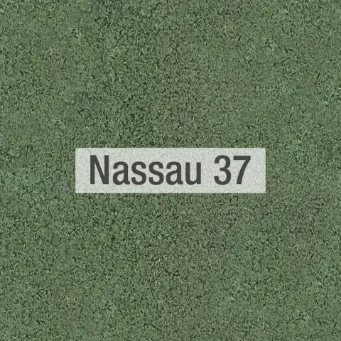 Nassau color tela Fama 2022 37