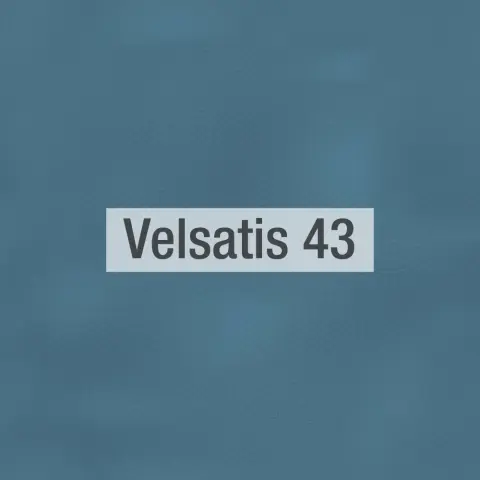 Velsatis Samtsofa von Fama