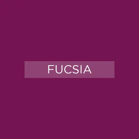 Melamina_2023_Fucsia