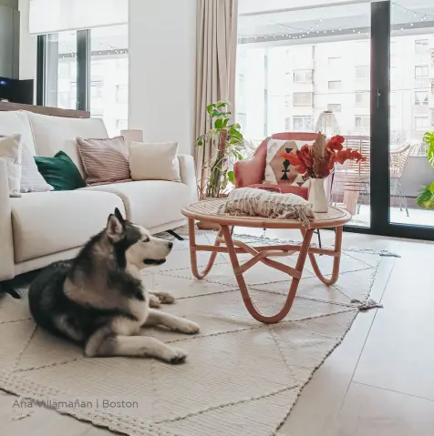 Boston_ana_villamañan_01_2022