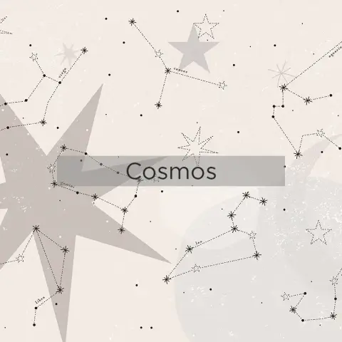 Cosmos Estampado 2025
