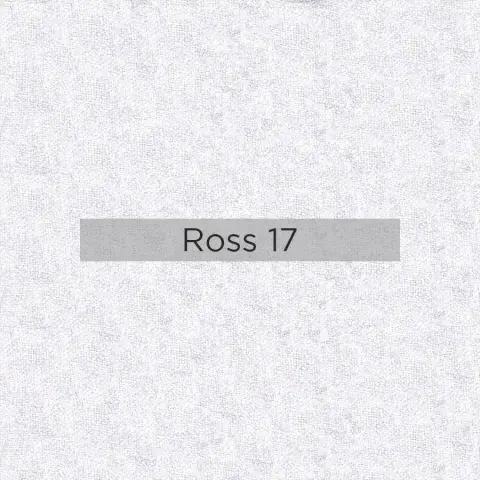 Ross 17